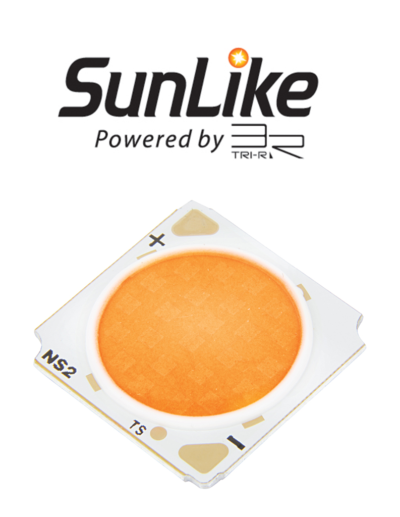 Seoul Semiconductor's SunLike Series LEDs Receive Huge Honor